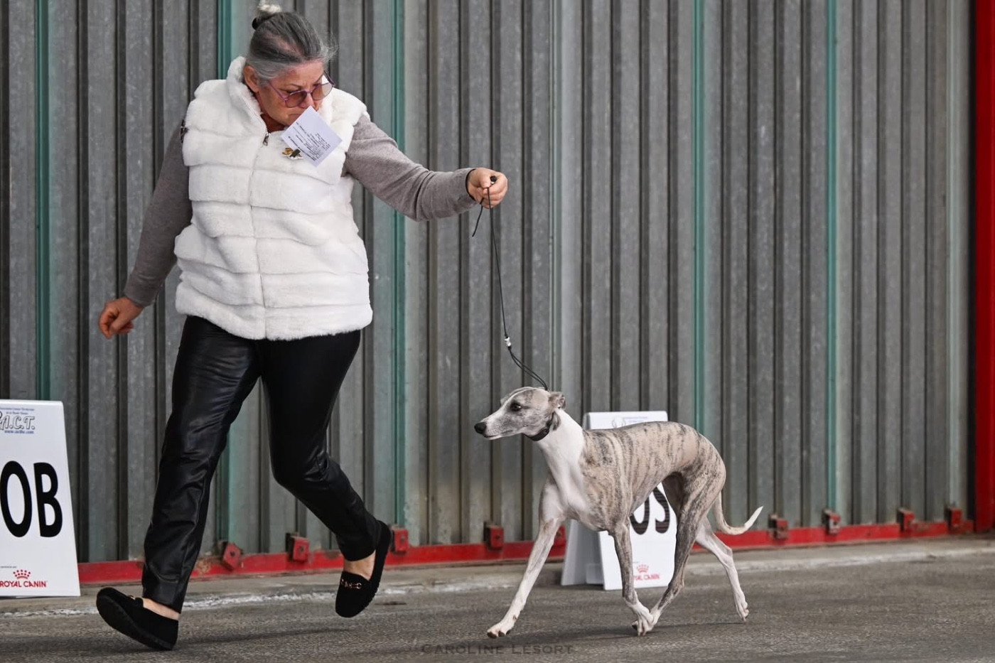 Tinny Sweat Tokyo of Continuity of Cyyl